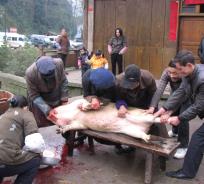 pagenumber_ebook=193,pagenumber_book=184