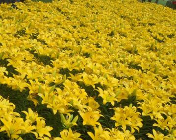 pagenumber_ebook=44,pagenumber_book=35