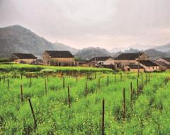 pagenumber_ebook=136,pagenumber_book=127