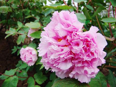 pagenumber_ebook=46,pagenumber_book=37