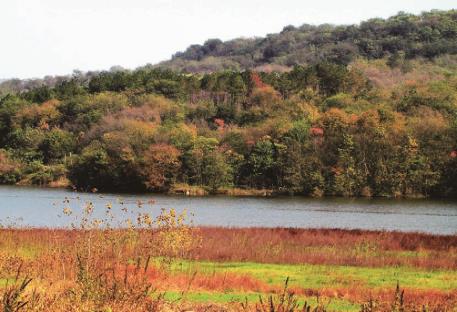 pagenumber_ebook=66,pagenumber_book=57