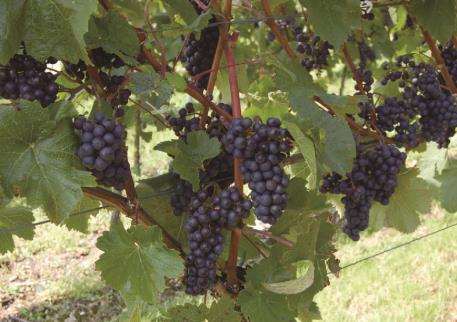 pagenumber_ebook=117,pagenumber_book=108