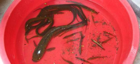 pagenumber_ebook=89,pagenumber_book=80