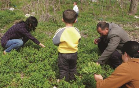 pagenumber_ebook=50,pagenumber_book=41