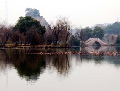 pagenumber_ebook=178,pagenumber_book=169