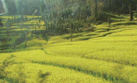 pagenumber_ebook=60,pagenumber_book=51