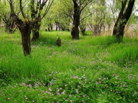 pagenumber_ebook=48,pagenumber_book=39