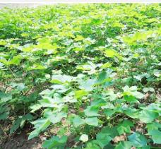 pagenumber_ebook=89,pagenumber_book=80