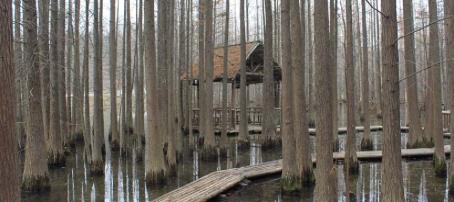 pagenumber_ebook=94,pagenumber_book=85