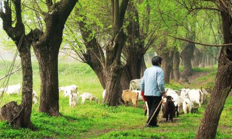 pagenumber_ebook=49,pagenumber_book=40