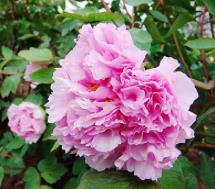 pagenumber_ebook=43,pagenumber_book=34