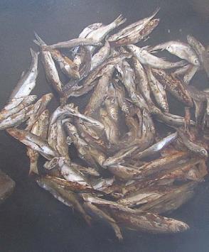 pagenumber_ebook=171,pagenumber_book=162