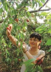 pagenumber_ebook=63,pagenumber_book=54