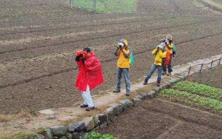 pagenumber_ebook=25,pagenumber_book=16