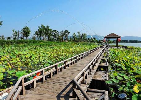 pagenumber_ebook=44,pagenumber_book=35