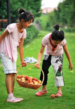 pagenumber_ebook=73,pagenumber_book=64