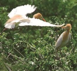 pagenumber_ebook=150,pagenumber_book=141