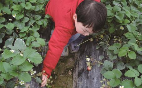 pagenumber_ebook=33,pagenumber_book=24