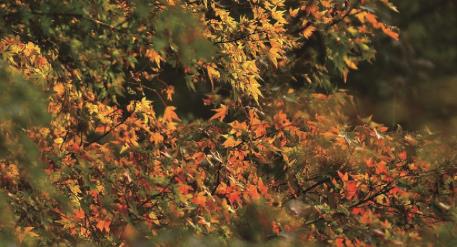 pagenumber_ebook=122,pagenumber_book=113