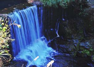 pagenumber_ebook=137,pagenumber_book=128