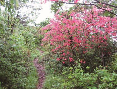 pagenumber_ebook=156,pagenumber_book=147