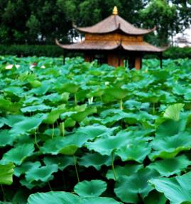 pagenumber_ebook=72,pagenumber_book=63