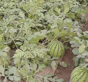 pagenumber_ebook=88,pagenumber_book=79