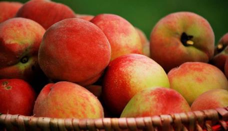 pagenumber_ebook=70,pagenumber_book=61