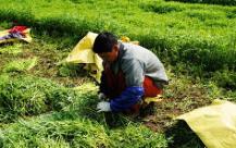 pagenumber_ebook=48,pagenumber_book=39