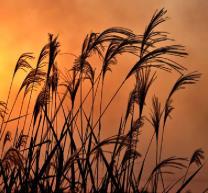 pagenumber_ebook=166,pagenumber_book=157