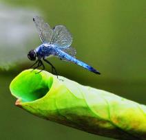 pagenumber_ebook=69,pagenumber_book=60