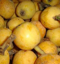 pagenumber_ebook=75,pagenumber_book=66