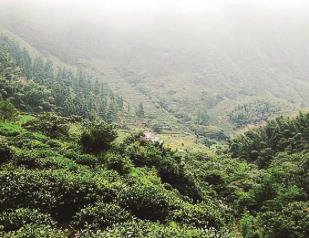 pagenumber_ebook=102,pagenumber_book=93