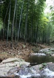 pagenumber_ebook=184,pagenumber_book=175