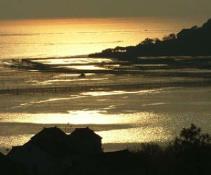 pagenumber_ebook=74,pagenumber_book=65