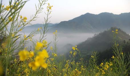 pagenumber_ebook=58,pagenumber_book=49