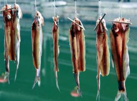 pagenumber_ebook=180,pagenumber_book=171