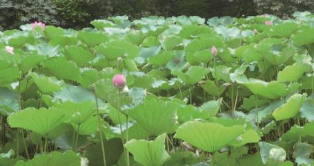 pagenumber_ebook=77,pagenumber_book=68