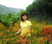 pagenumber_ebook=95,pagenumber_book=86