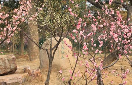 pagenumber_ebook=53,pagenumber_book=44