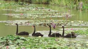 pagenumber_ebook=97,pagenumber_book=88