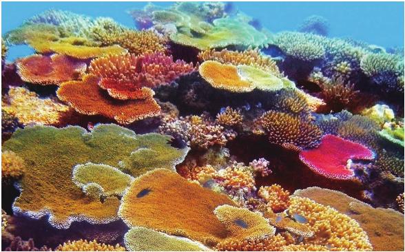 pagenumber_ebook=132,pagenumber_book=125