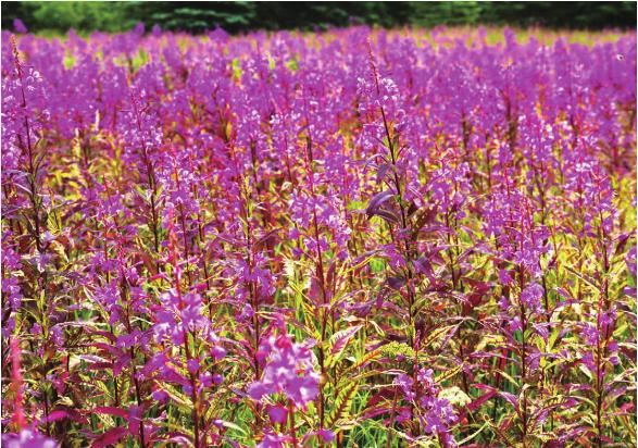 pagenumber_ebook=112,pagenumber_book=105