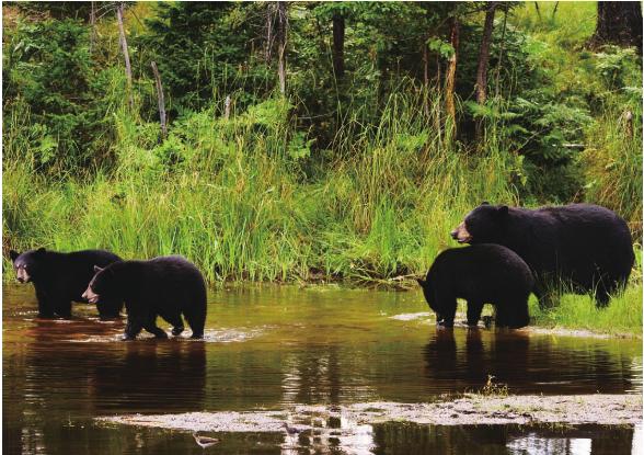 pagenumber_ebook=152,pagenumber_book=145