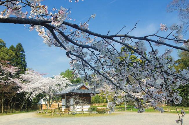 pagenumber_ebook=8,pagenumber_book=0