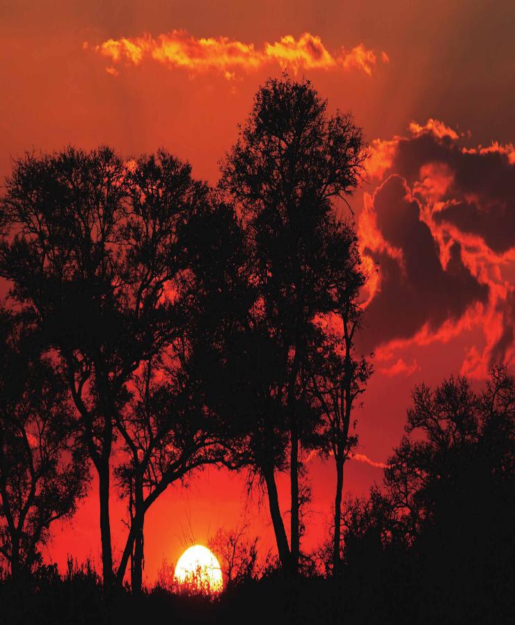 pagenumber_ebook=221,pagenumber_book=222