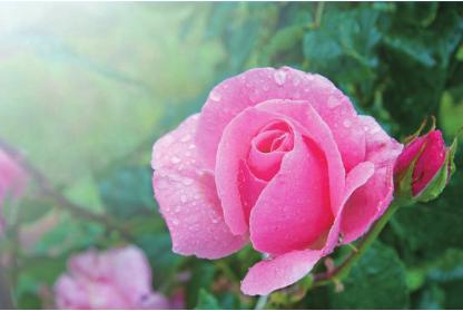 pagenumber_ebook=59,pagenumber_book=52