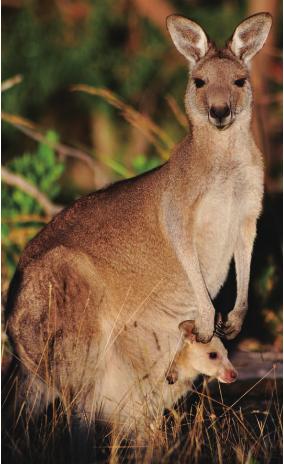 pagenumber_ebook=197,pagenumber_book=190