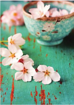 pagenumber_ebook=46,pagenumber_book=39