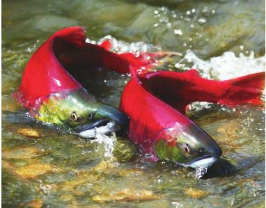 pagenumber_ebook=146,pagenumber_book=139